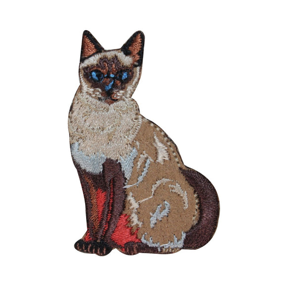 ID 2956 House Cat Patch Pet Kitten Kitty Feline Embroidered Iron On Applique