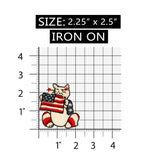 ID 1087 Cat With Flag Patch American Patriotic USA Embroidered Iron On Applique