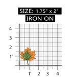 ID 1414AB Set of 2 Fall Maple Leaf Patches Autumn Embroidered Iron On Applique