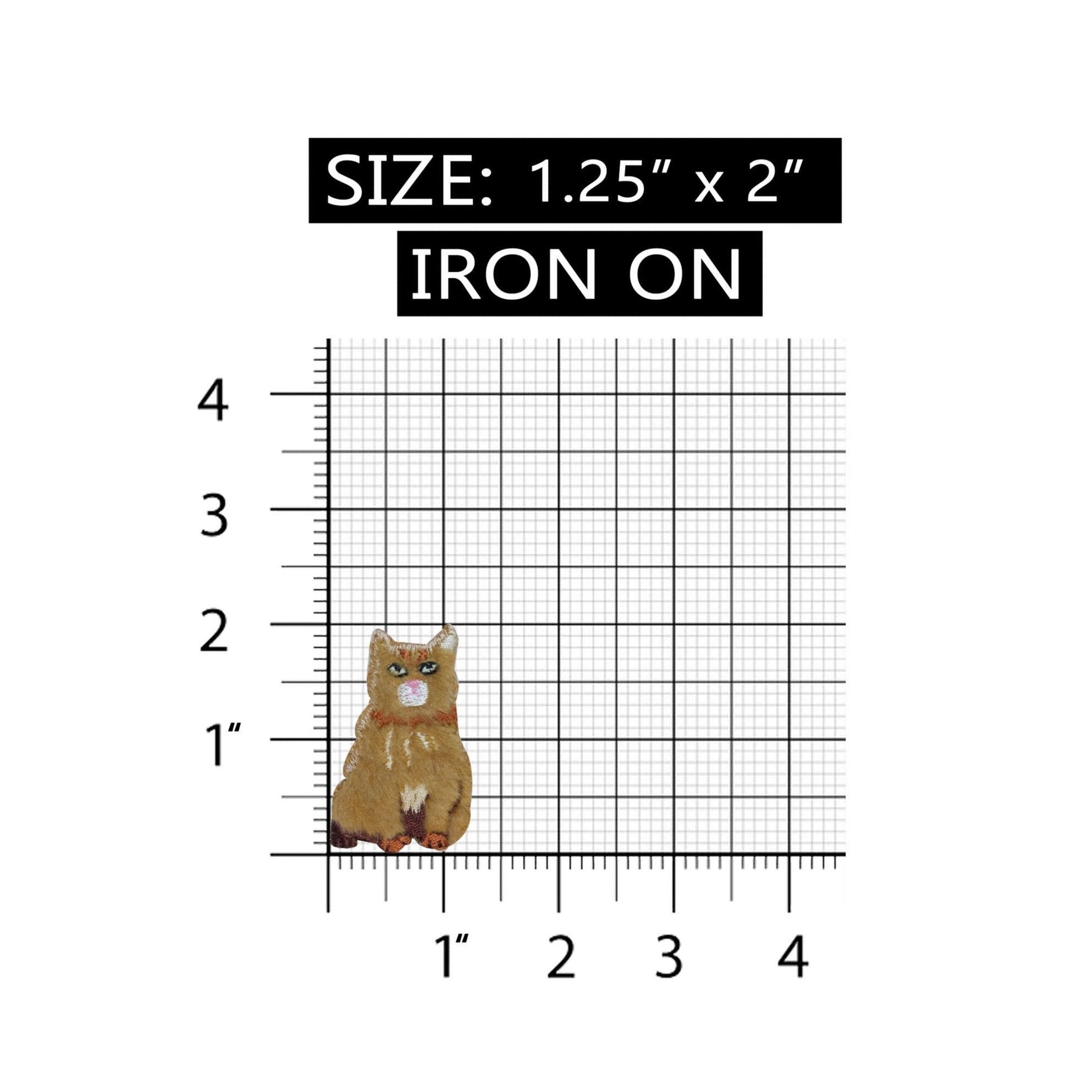 ID 2981 Fluffy Cat Sitting Patch Furry Kitten Kitty Embroidered Iron On Applique