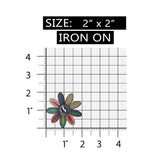 ID 6897 Rainbow Daisy Flower Patch Garden Blossom Embroidered Iron On Applique