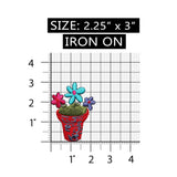 ID 7034 Potted Colorful Daisies Patch Garden Plant Embroidered Iron On Applique