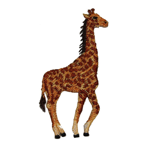 Arredo In Ferro Corten – Ferro Su Ferro - Foto 8