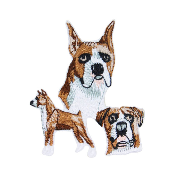 Boxer Multi Dog Patch Animal Breed Lover Sewing Craft Apparel Iron-On Applique