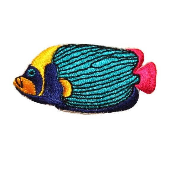 ID 0205A Tropical Emperor Angel Fish Patch Exotic Fishing Iron On Applique