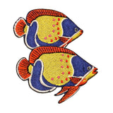 ID 0233 Tropical Beta Fish Patch Fight Fishing Pet Embroidered Iron On Applique