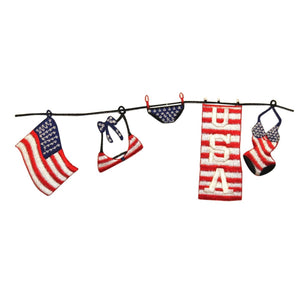 ID 1010 America Swimsuit Clothes Line Patch Flag Embroidered Iron On Applique