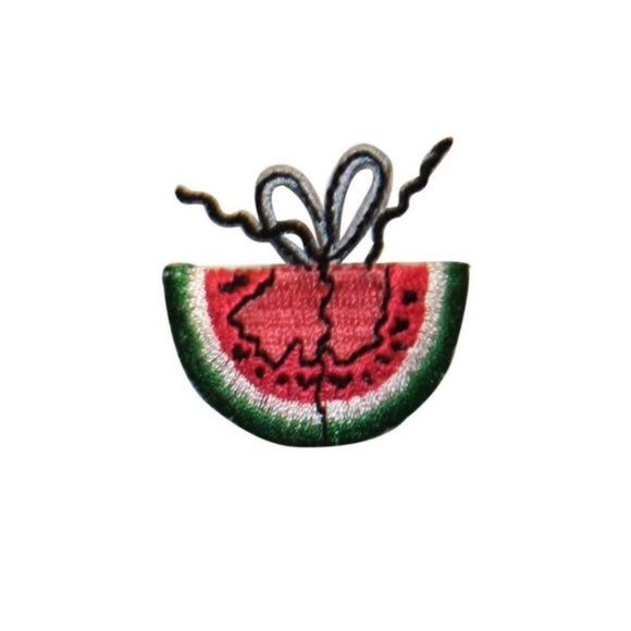 ID 1200A Watermelon Tied Patch Summer Lunch Picnic Embroidered Iron On Applique