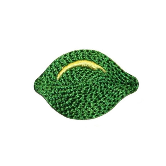 ID 1214A Whole Lime Patch Summer Drink Fruit Fresh Embroidered Iron On Applique