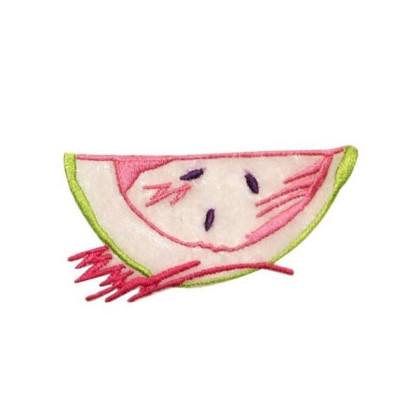 ID 1232B Lace Watermelon Patch Fruit Summer Picnic Embroidered Iron On Applique