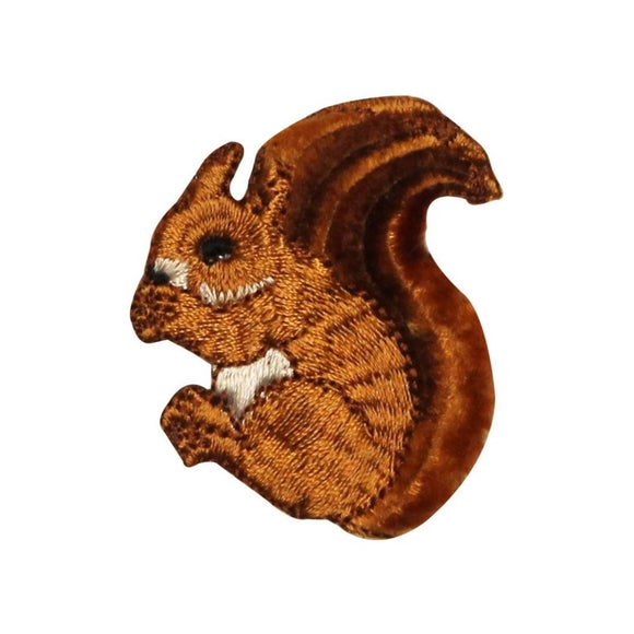 ID 0716 Fuzzy Squirrel Eating Patch Forest Chipmunk Embroidered Iron On Applique