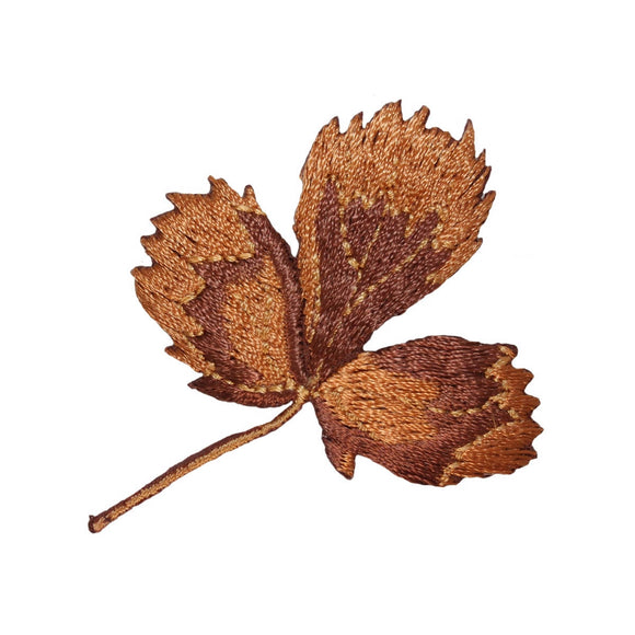 ID 1419A Dried Leaf Patch Maple Tree Leaves Autumn Embroidered Iron On Applique