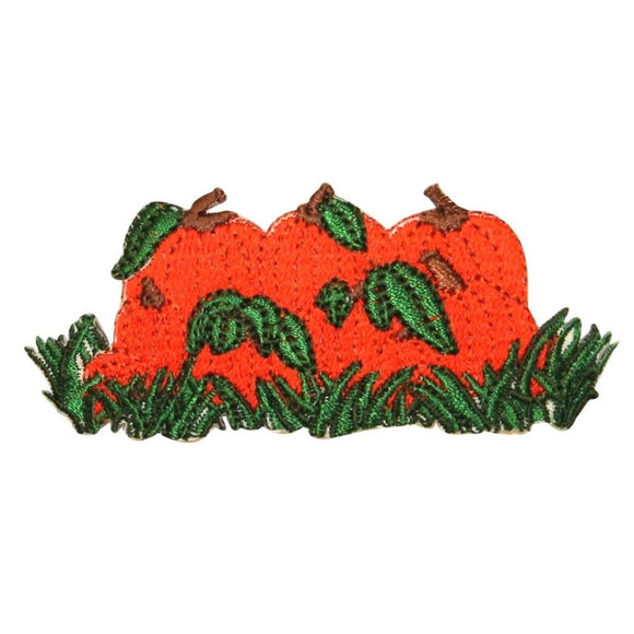 ID 0826 Pumpkin Pile Patch Halloween Farm Harvest Embroidered Iron On Applique