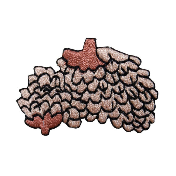 ID 1429B Pinecone Bundle Patch Pine Tree Seed Fall Embroidered Iron On Applique