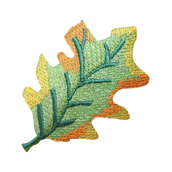 ID 1429D Multi Colored Leaf Patch Fall Decoration Embroidered Iron On Applique