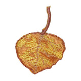 ID 1445 Tiny Oak Leaf Patch Fall Autumn Tree Leaves Embroidered Iron On Applique