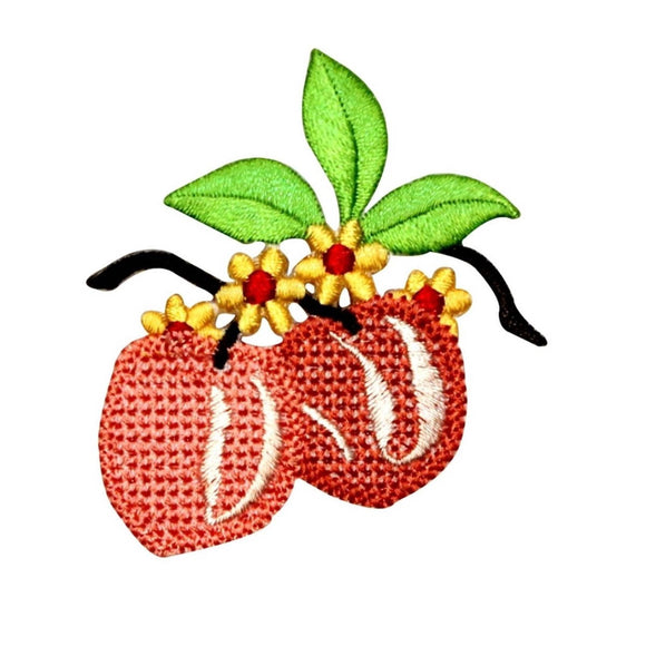 ID 1176 Peaches On Branch Patch Fruit Healthy Peach Embroidered Iron On Applique
