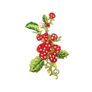 ID 1185A Strawberries Growing On Vine Patch Berry Embroidered Iron On Applique