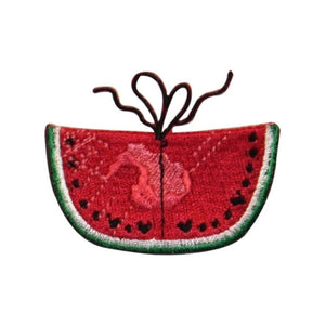 ID 1200B Watermelon Tied Patch Summer Lunch Picnic Embroidered Iron On Applique