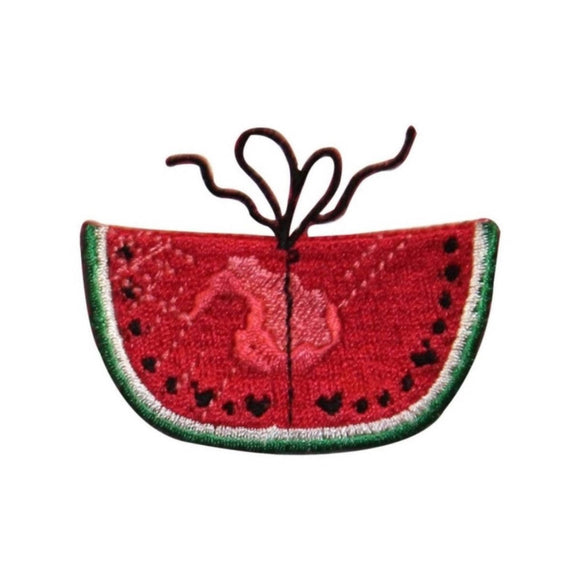 ID 1200B Watermelon Tied Patch Summer Lunch Picnic Embroidered Iron On Applique