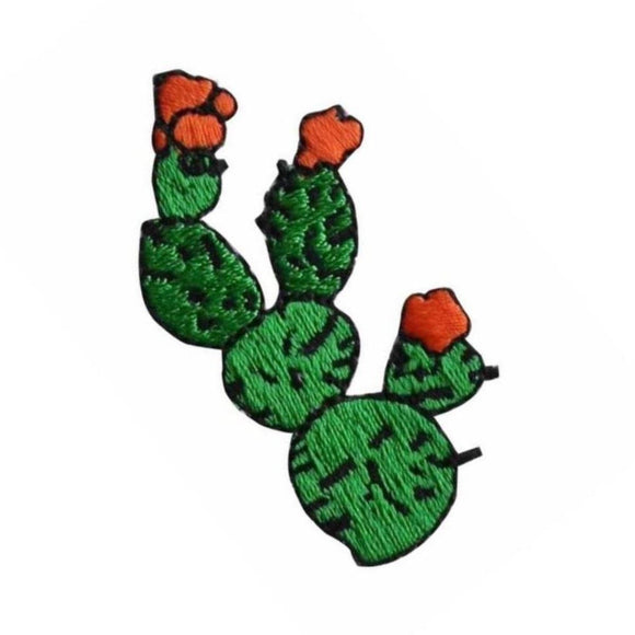 ID 1339 Cactus Flowering Patch Western Desert Plant Embroidered Iron On Applique