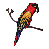 ID 1633 Parrot On Branch Patch Exotic Bird Pet Embroidered Iron On Applique