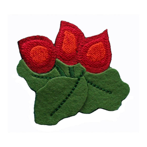 ID 1391 Felt Flowers With Leaves Patch Rose Blossom Embroidered Iron On Applique