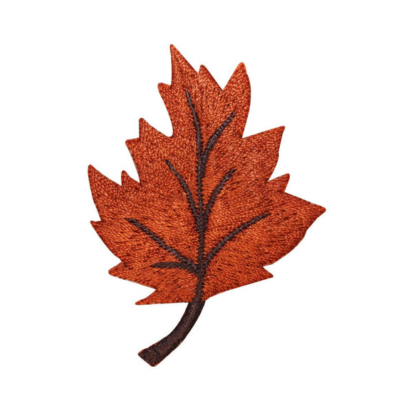 ID 1410 Maple Leaf Patch Fall Autumn Leaves Tree Embroidered Iron On Applique