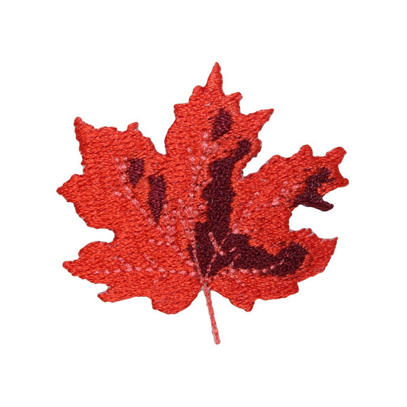 ID 1421A Fall Maple Leaf Patch Tree Fall Decoration Embroidered Iron On Applique