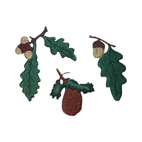 ID 1423ABC Set of 3 Oak Leaf With Acorn Patches Embroidered Iron On Applique