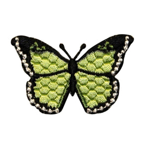 ID 2278 Butterfly Textured Wings Patch Garden Insect Embroidered IronOn Applique