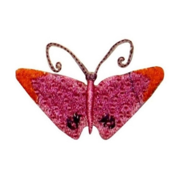 ID 2320B Fancy Butterfly Patch Garden Fairy Insect Embroidered Iron On Applique
