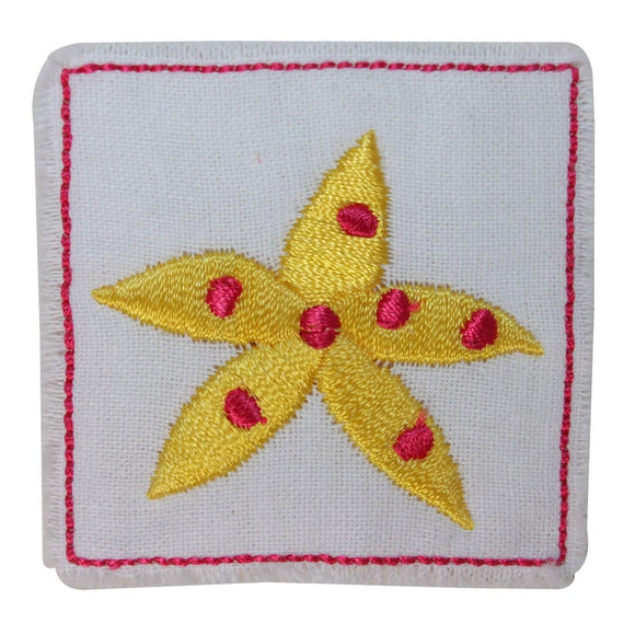 ID 1713A Starfish Badge Patch Ocean Sea Life Craft Embroidered Iron On Applique