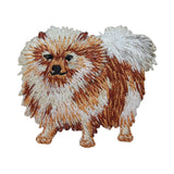 ID 2758 Pomeranian Toy Dog Patch Breed Pet Puppy Embroidered Iron On Applique
