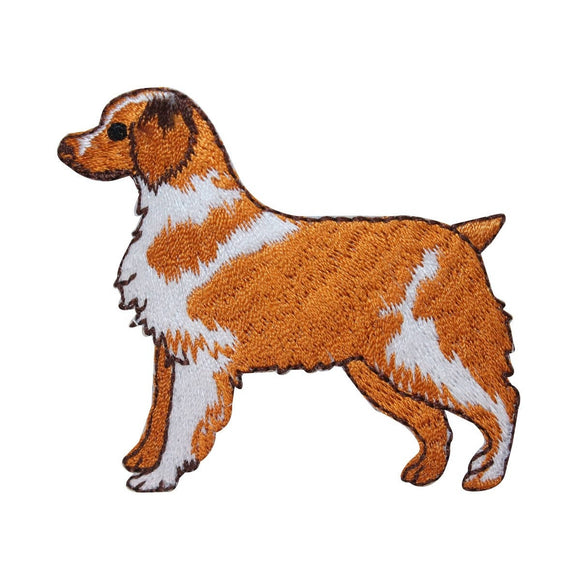 ID 2795 Australian Shepherd Dog Patch Puppy Breed Embroidered Iron On Applique