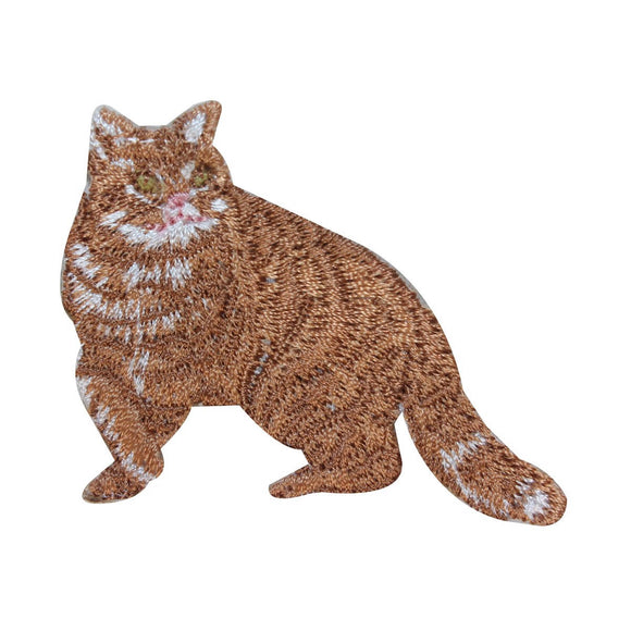 ID 3014 Tabby Cat Patch Kitten Kitty Cute Pet Embroidered Iron On Applique