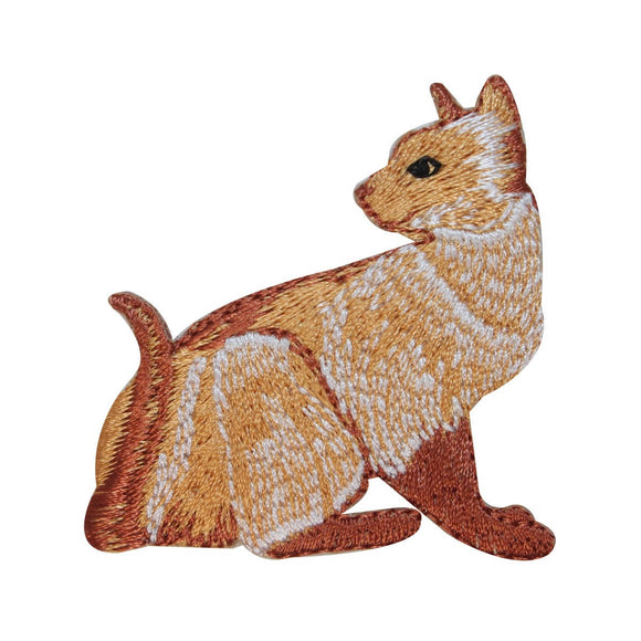 ID 3026 Short Haired Cat Patch Kitten Kitty Cute Pet Embroidered IronOn Applique