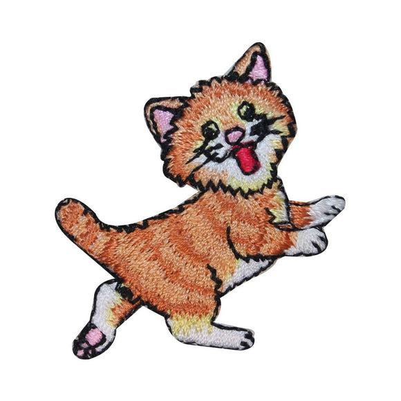 ID 3040A Happy Cartoon Kitten Patch Cat Playful Pet Embroidered Iron On Applique