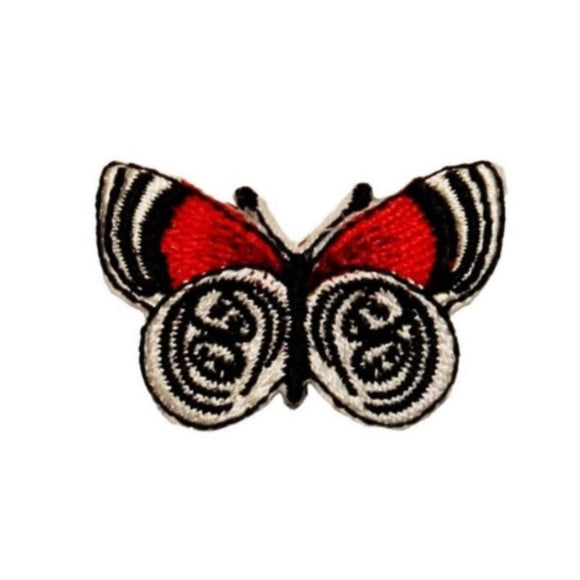 ID 2323 Butterfly Patch Garden Bug Fly Insect Embroidered Iron On Applique
