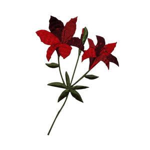 ID 6725 Red Poinsettia Flowers Patch Garden Holiday Embroidered Iron On Applique