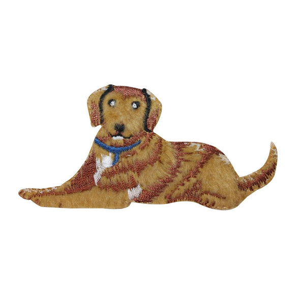 ID 2808 Fluffy Dog Laying Patch Retriever Puppy Pet Embroidered Iron On Applique