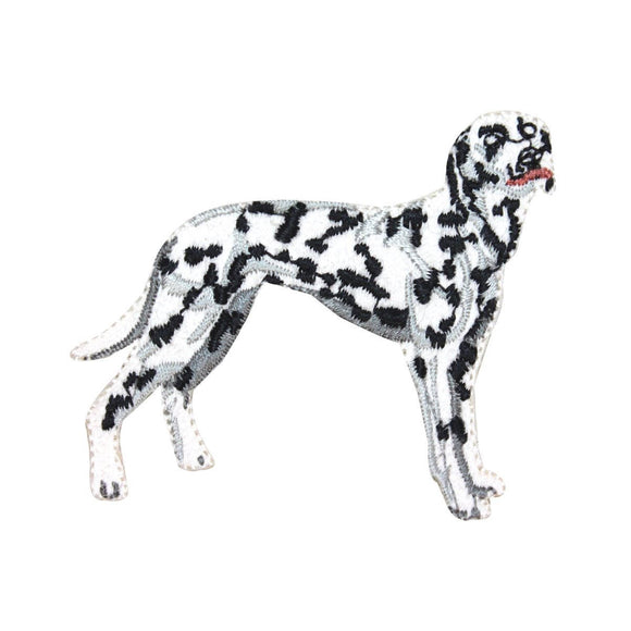 ID 2854 Dalmatian Dog Patch Canine Fireman Pet Embroidered Iron On Applique