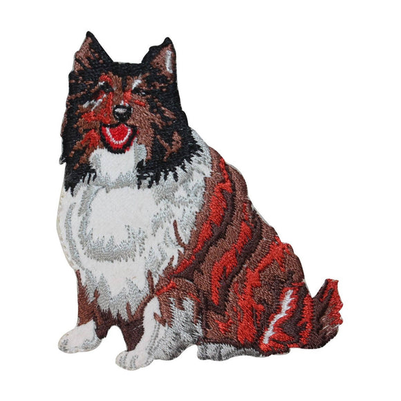 ID 2780 Boarder Collie Dog Patch Pet Puppy Breed Embroidered Iron On Applique
