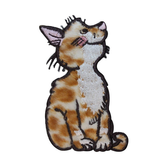 ID 3007 Fluffy Tabby Cat Patch Furry Kitten Kitty Embroidered Iron On Applique