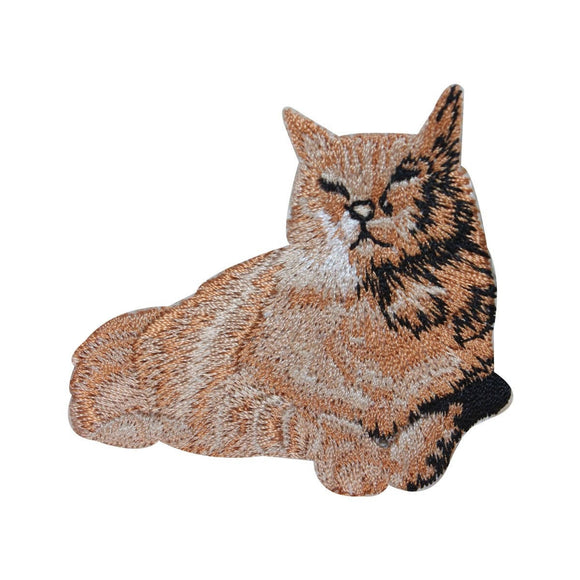 ID 3011 Cat Sun Bathing Patch Kitten Sleep Cute Pet Embroidered Iron On Applique