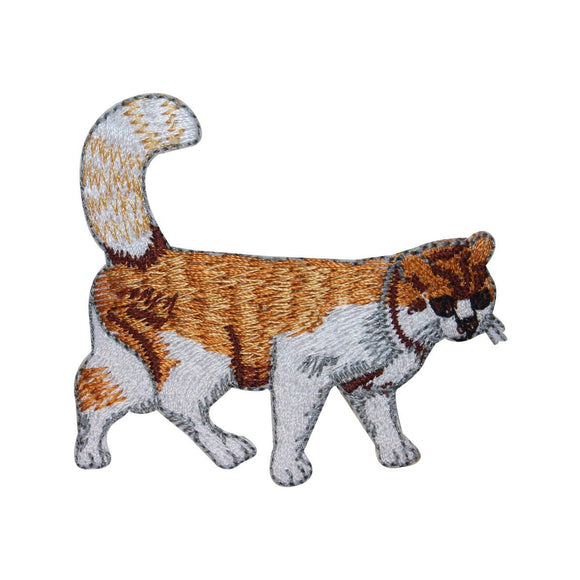 ID 3013 Cat Walking Patch Kitten Kitty Cute Pet Embroidered Iron On Applique