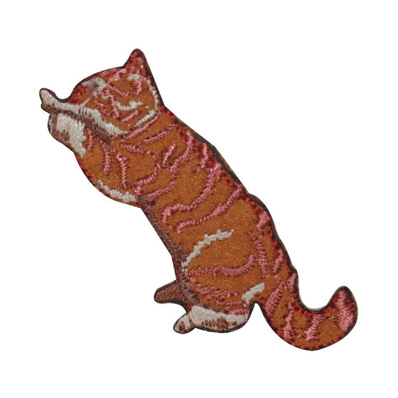 ID 3034 Cat Standing Up Patch Kitten Kitty Playing Embroidered Iron On Applique
