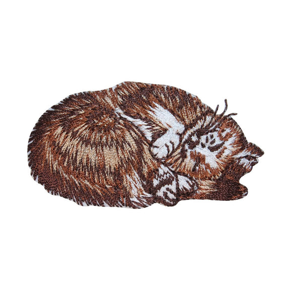 ID 2970 Cat Curled Up Sleeping Patch Kitten Kitty Embroidered Iron On Applique