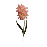 ID 6265 Pink Lace Flower Blossom Patch Garden Grow Embroidered Iron On Applique
