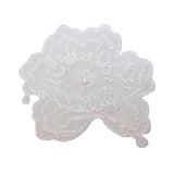 ID 6793 Lace White Flower Head Patch Carnation Embroidered Iron On Applique